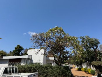 Ons oude huis -> de oprit en de buren