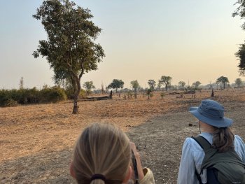Walking safari in South Luangwa