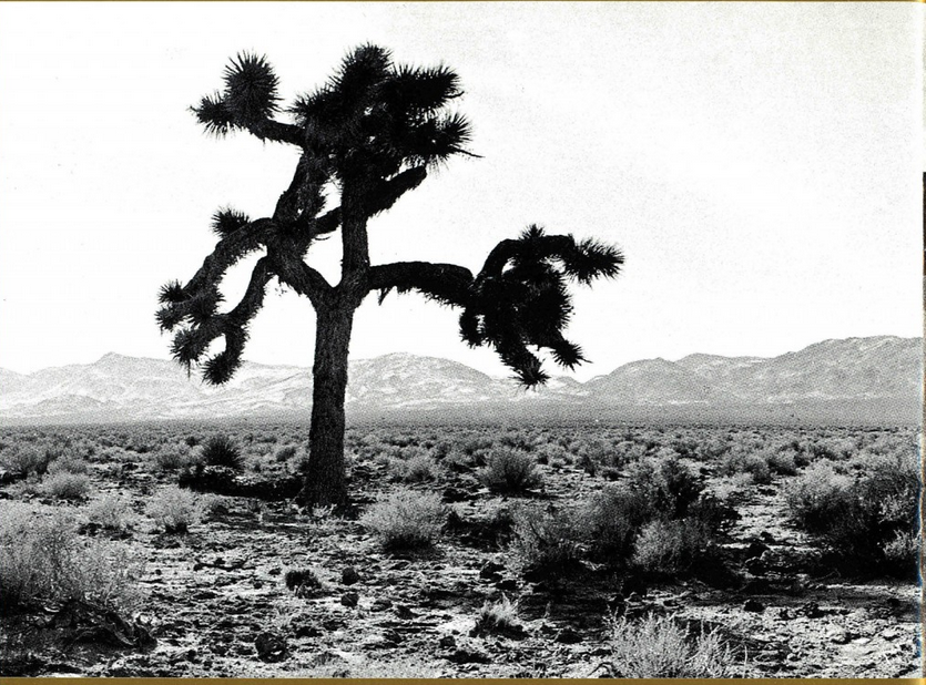 joshua_tree_u2
